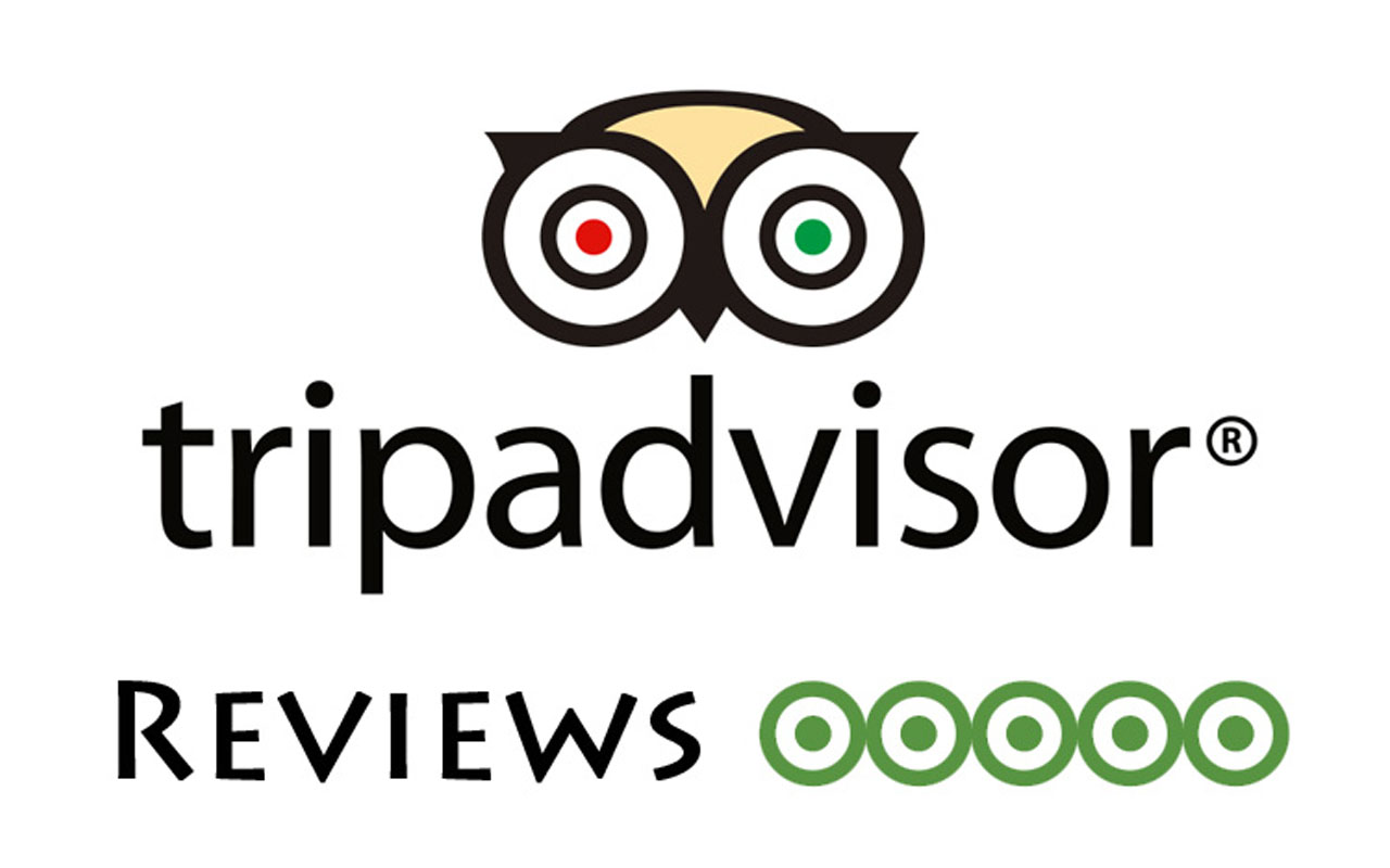 TripAdvisor Logo