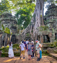 Ta Prohm Temple - Taxi In Cambodia